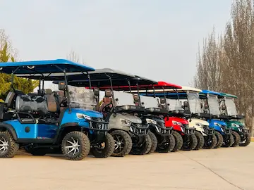 Golf Car Caribe